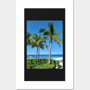 Palm trees on the Caribbean, Cancun, Mexico Posters and Art